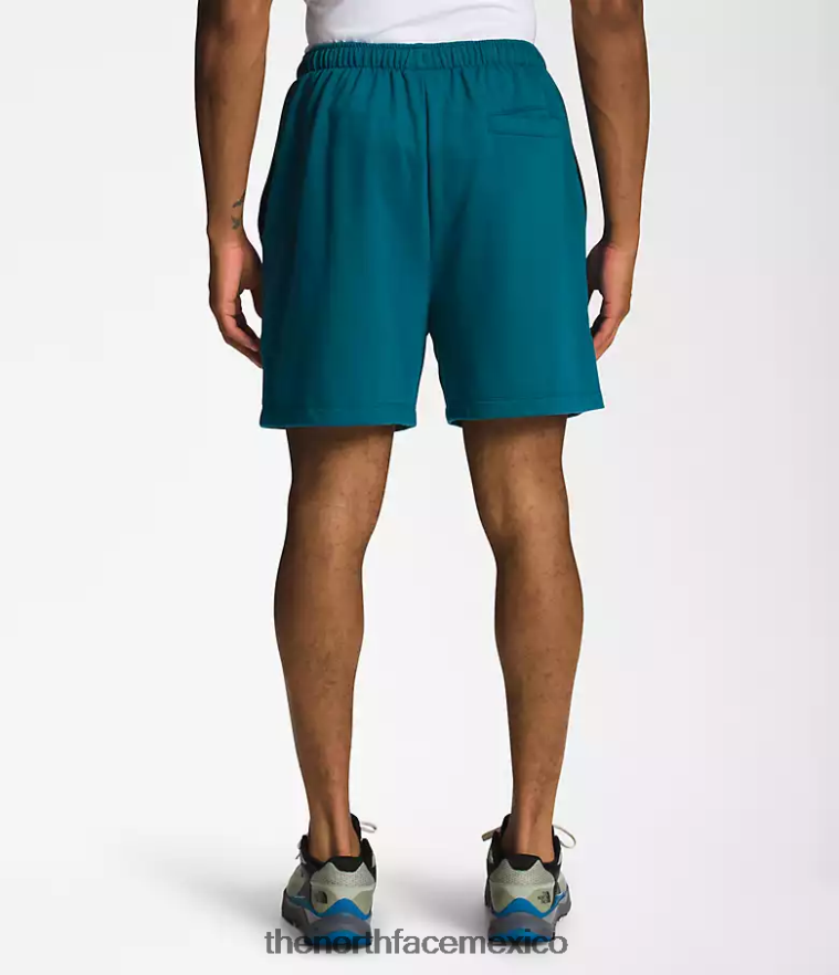 The North Face ropa NFHLJL362 corales azules hombres shorts de lana con logo sencillo