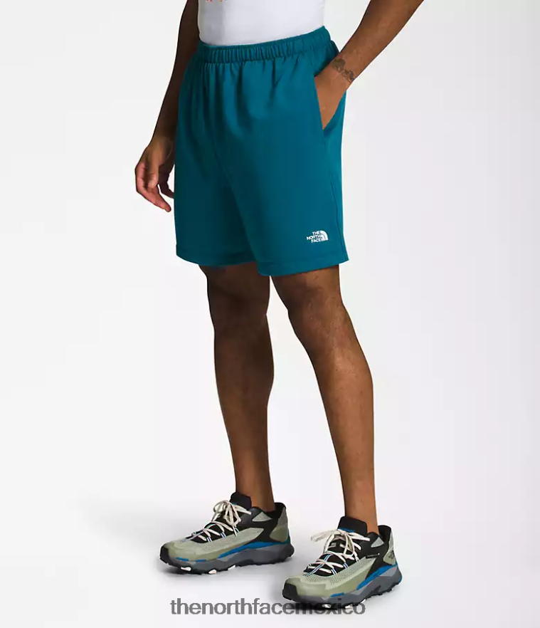 The North Face ropa NFHLJL362 corales azules hombres shorts de lana con logo sencillo
