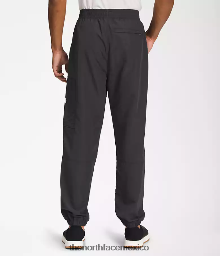 The North Face ropa NFHLJL492 gris asfalto hombres pantalones fáciles de nailon tnf