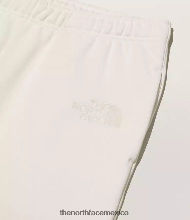 The North Face ropa NFHLJL551 marfil claro de luna hombres pantalones deportivos tnf x kaws