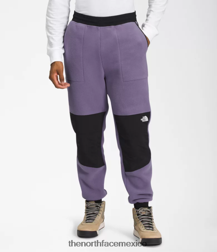 The North Face ropa NFHLJL880 pizarra lunar/tnf negro hombres pantalones denali