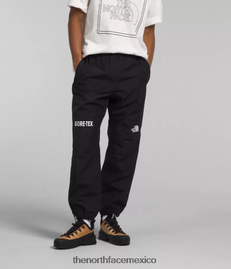 The North Face ropa NFHLJL1298 negro hombres pantalon montaña gtx