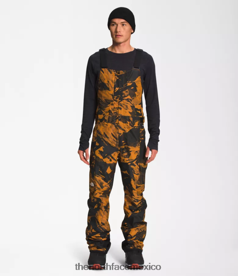 The North Face ropa NFHLJL656 estampado de paisaje montañoso en tono marrón cuero hombres baberos libertad