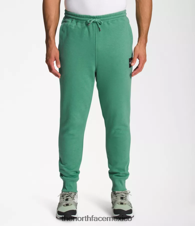 The North Face ropa NFHLJL1041 verde hierba intenso/negro tnf hombres joggers box nse