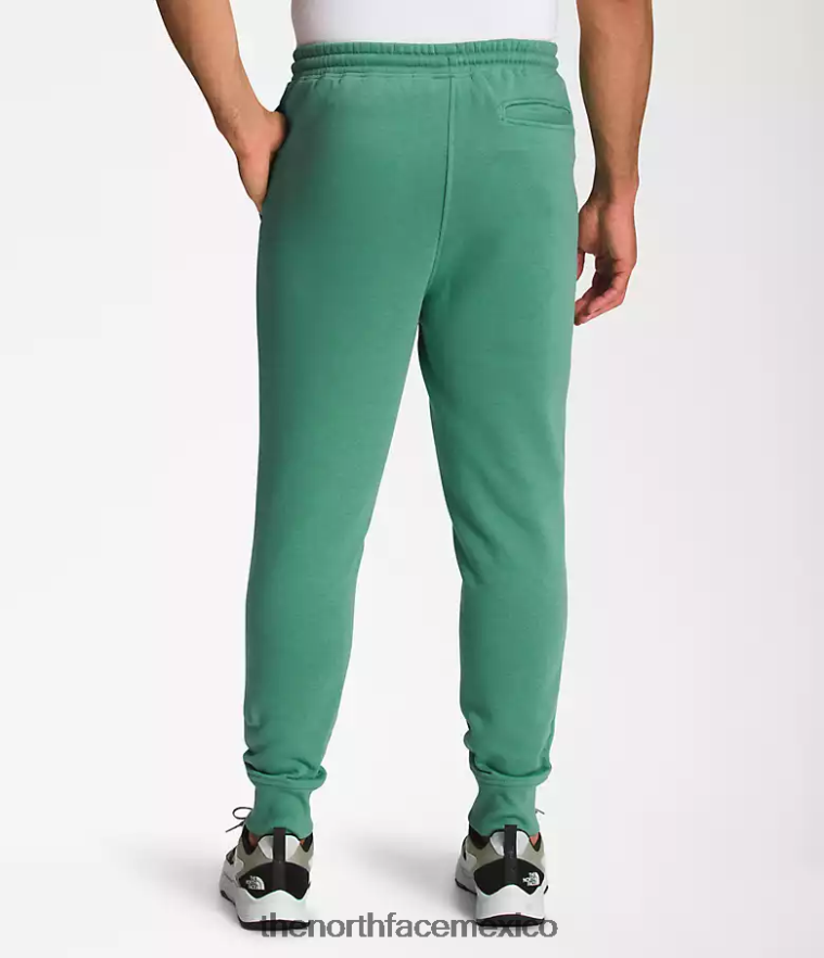 The North Face ropa NFHLJL1041 verde hierba intenso/negro tnf hombres joggers box nse
