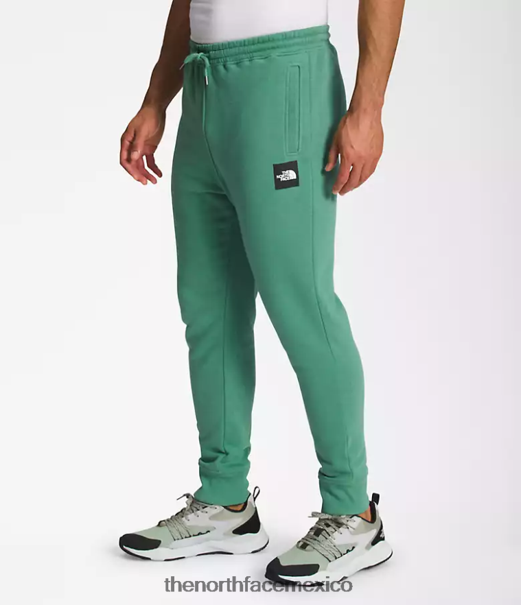 The North Face ropa NFHLJL1041 verde hierba intenso/negro tnf hombres joggers box nse