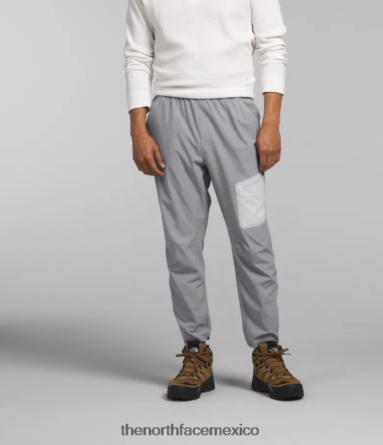 The North Face ropa NFHLJL1162 fusionar gris hombres pantalones de zancada ligera