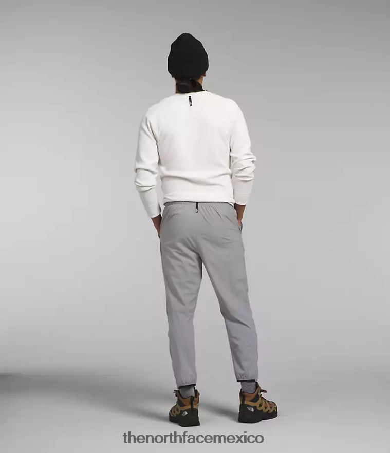 The North Face ropa NFHLJL1162 fusionar gris hombres pantalones de zancada ligera