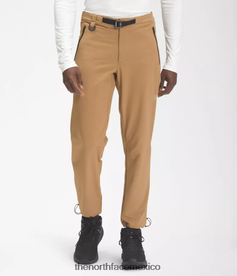The North Face ropa NFHLJL29 marrón utilitario hombres pantalones profesionales primordiales
