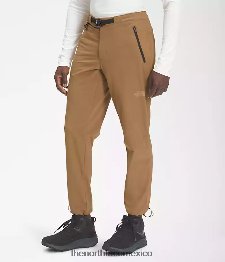 The North Face ropa NFHLJL29 marrón utilitario hombres pantalones profesionales primordiales