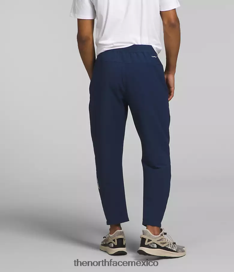 The North Face ropa NFHLJL955 cumbre marina hombres pantalones de rejilla tekware