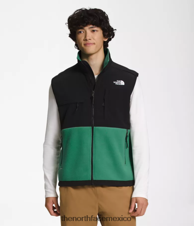 The North Face ropa NFHLJL601 verde hierba intenso hombres chaleco denali