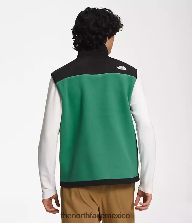 The North Face ropa NFHLJL601 verde hierba intenso hombres chaleco denali