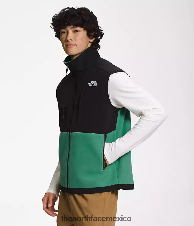 The North Face ropa NFHLJL601 verde hierba intenso hombres chaleco denali