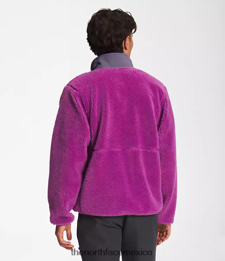 The North Face ropa NFHLJL120 flor de cactus púrpura/pizarra lunar hombres jersey de pelo extremo