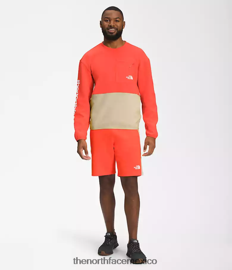 The North Face ropa NFHLJL603 grava/naranja retro hombres equipo técnico tnf