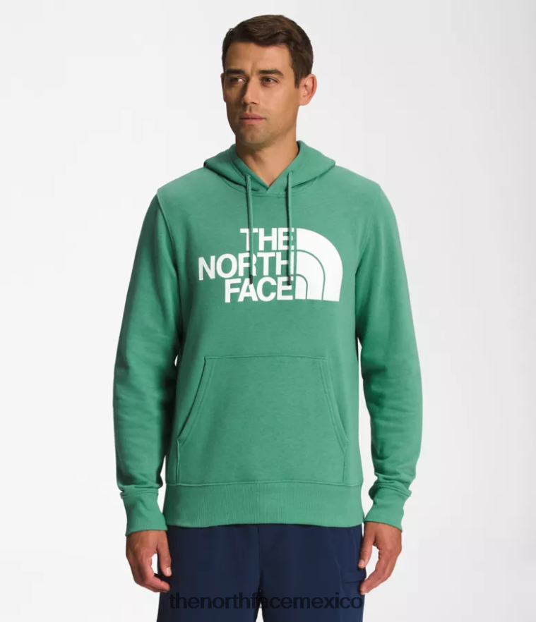 The North Face ropa NFHLJL109 verde hierba intenso/blanco tnf hombres sudadera con capucha y media cúpula
