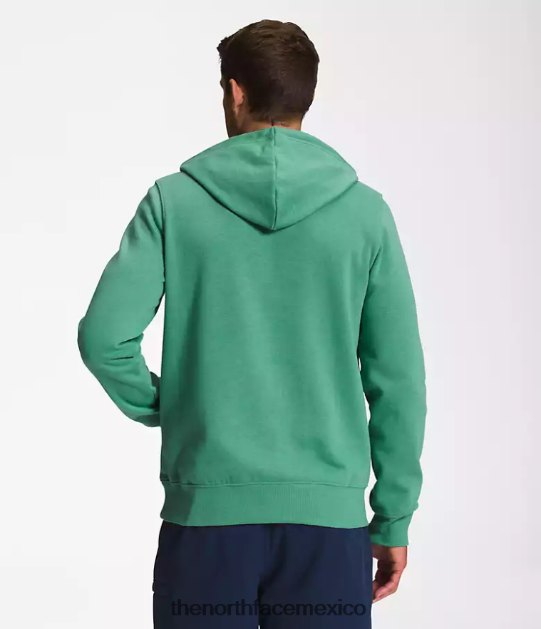 The North Face ropa NFHLJL109 verde hierba intenso/blanco tnf hombres sudadera con capucha y media cúpula