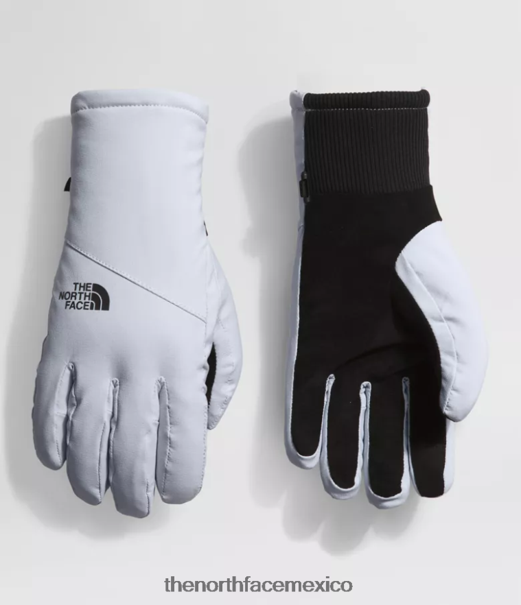 The North Face accesorio NFHLJL859 bígaro polvoriento mujer guantes shelbe raschel etip