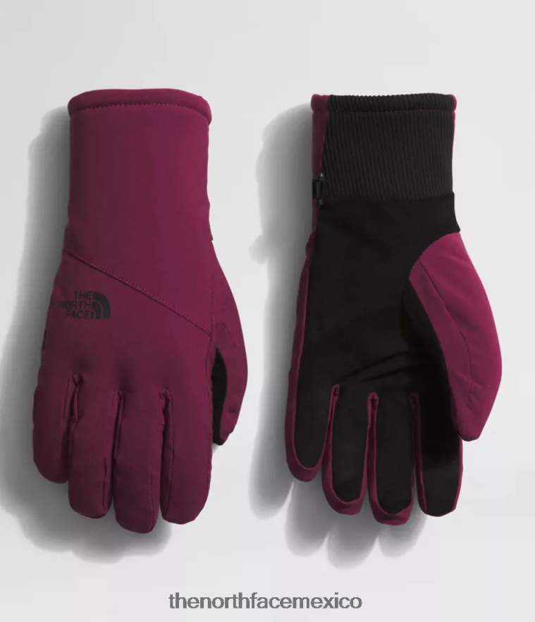 The North Face accesorio NFHLJL860 arándano mujer guantes shelbe raschel etip