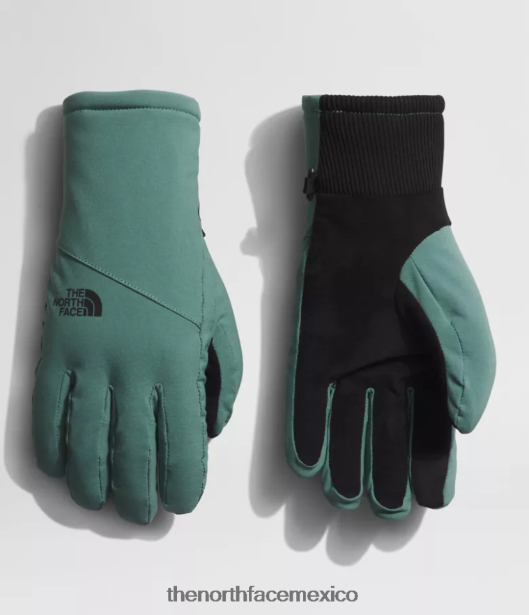 The North Face accesorio NFHLJL861 sabio oscuro mujer guantes shelbe raschel etip