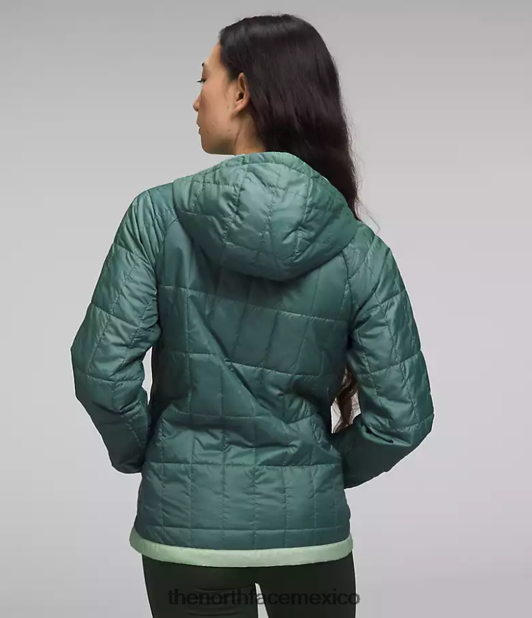 The North Face ropa NFHLJL505 salvia oscura/salvia brumosa mujer jersey circaloft con cremallera