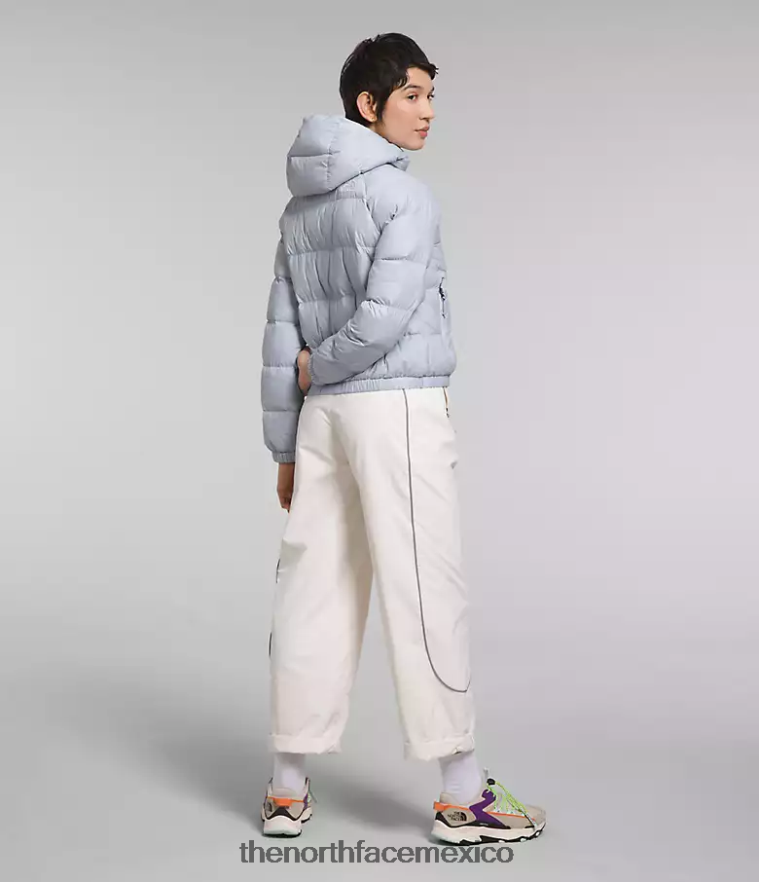 The North Face ropa NFHLJL891 bígaro polvoriento mujer sudadera con capucha de hidrenalita