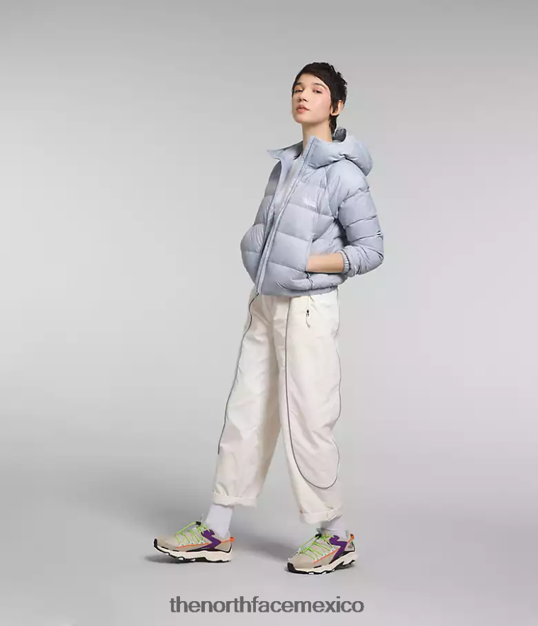 The North Face ropa NFHLJL891 bígaro polvoriento mujer sudadera con capucha de hidrenalita