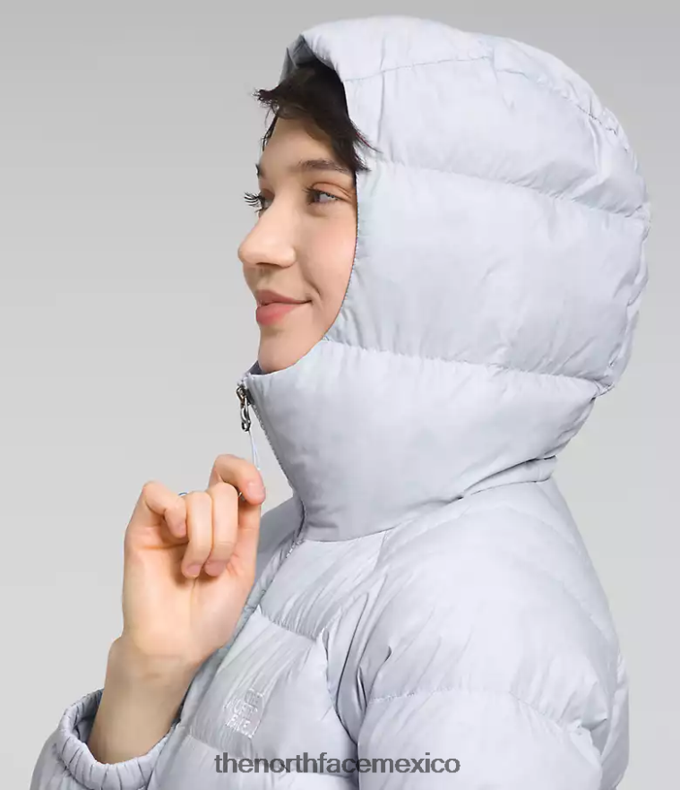 The North Face ropa NFHLJL891 bígaro polvoriento mujer sudadera con capucha de hidrenalita