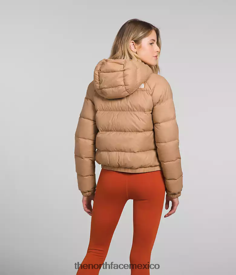 The North Face ropa NFHLJL892 mantequilla de almendras mujer sudadera con capucha de hidrenalita
