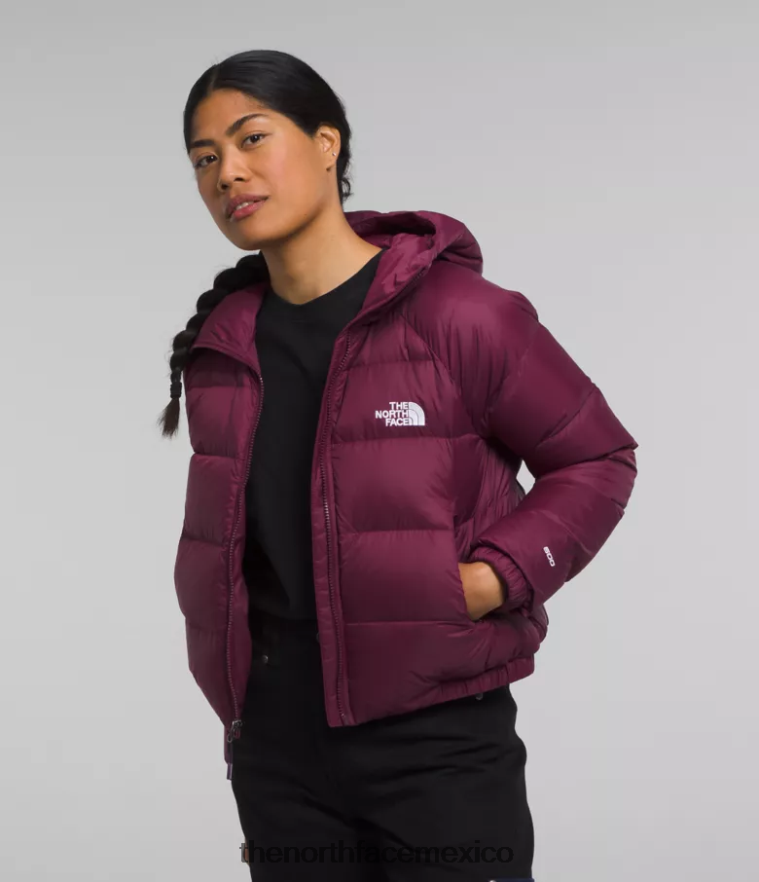 The North Face ropa NFHLJL893 arándano mujer sudadera con capucha de hidrenalita