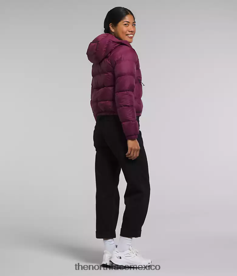 The North Face ropa NFHLJL893 arándano mujer sudadera con capucha de hidrenalita