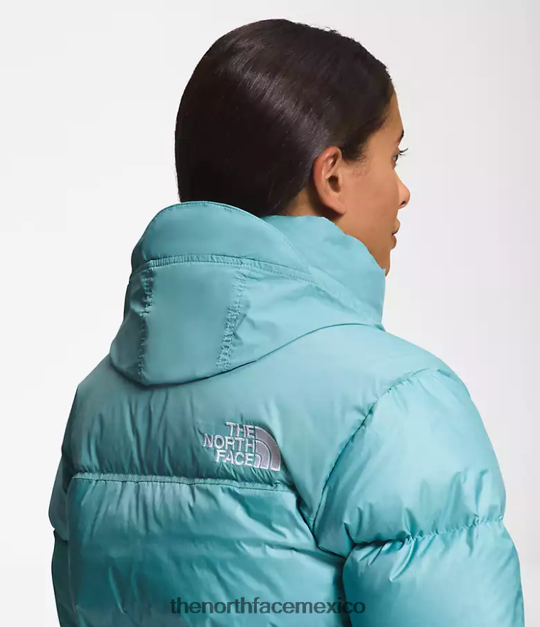 The North Face ropa NFHLJL730 aguas de arrecife mujer chaqueta retro nuptse 1996