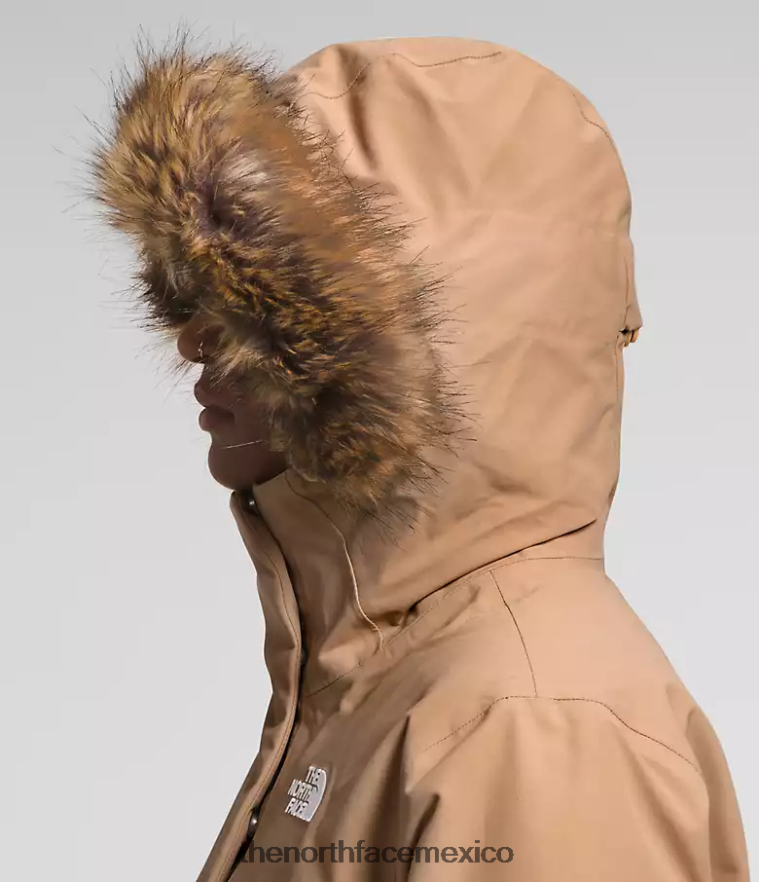 The North Face ropa NFHLJL1313 mantequilla de almendras mujer parka ártica premium