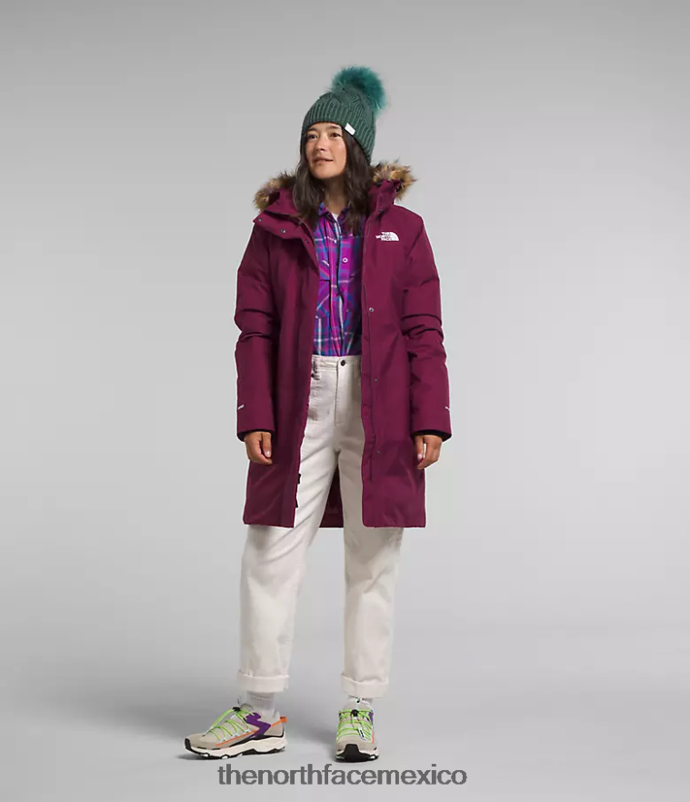 The North Face ropa NFHLJL509 arándano mujer parka ártica