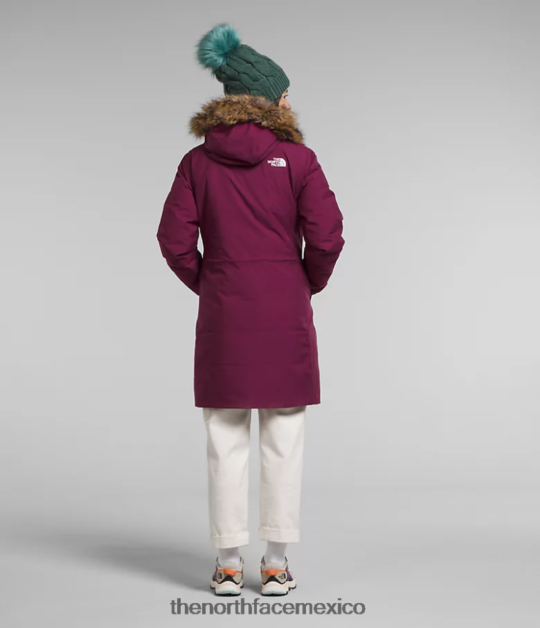 The North Face ropa NFHLJL509 arándano mujer parka ártica