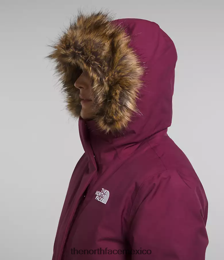 The North Face ropa NFHLJL509 arándano mujer parka ártica