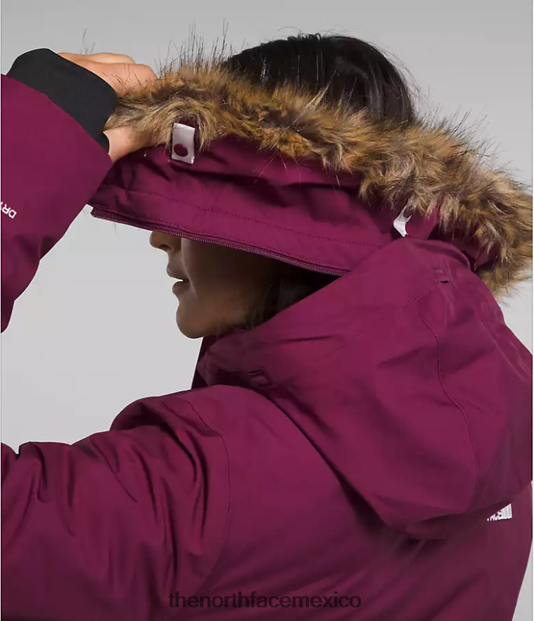 The North Face ropa NFHLJL509 arándano mujer parka ártica