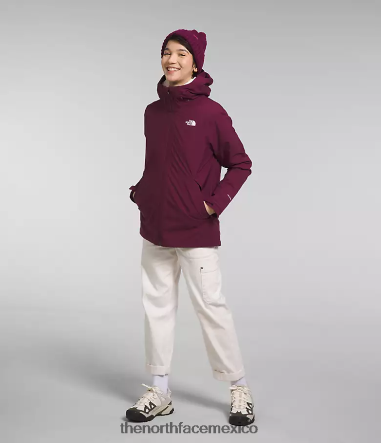The North Face ropa NFHLJL895 arándano mujer chaqueta triclimate carto