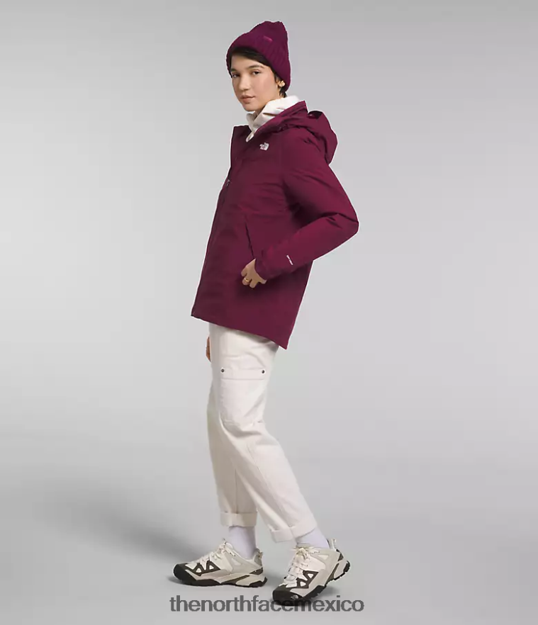 The North Face ropa NFHLJL895 arándano mujer chaqueta triclimate carto