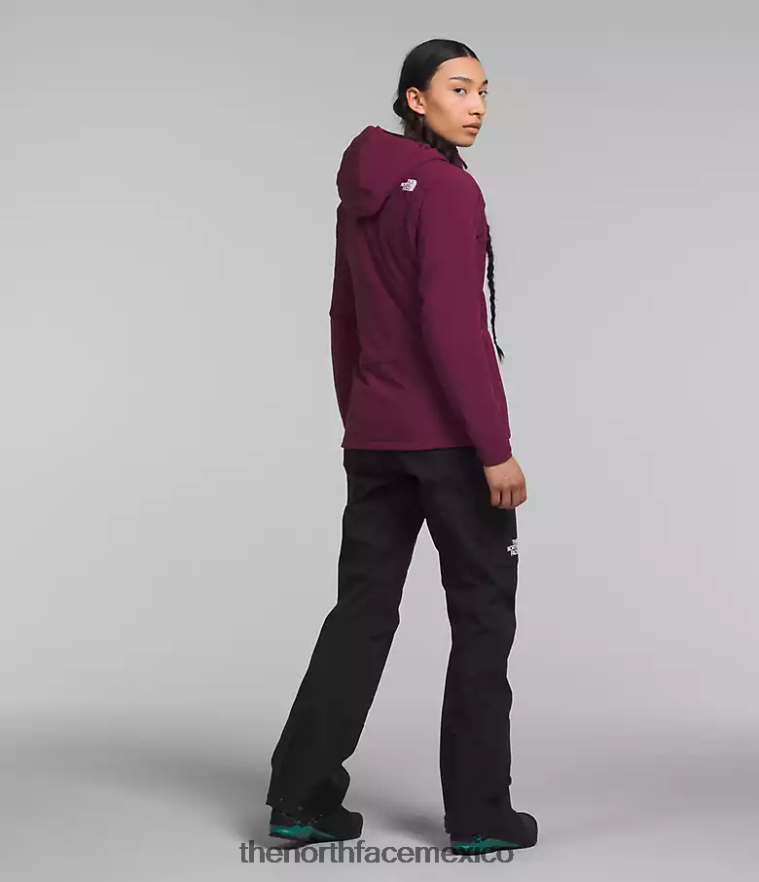 The North Face ropa NFHLJL323 arándano mujer sudadera con capucha híbrida casaval de la serie summit
