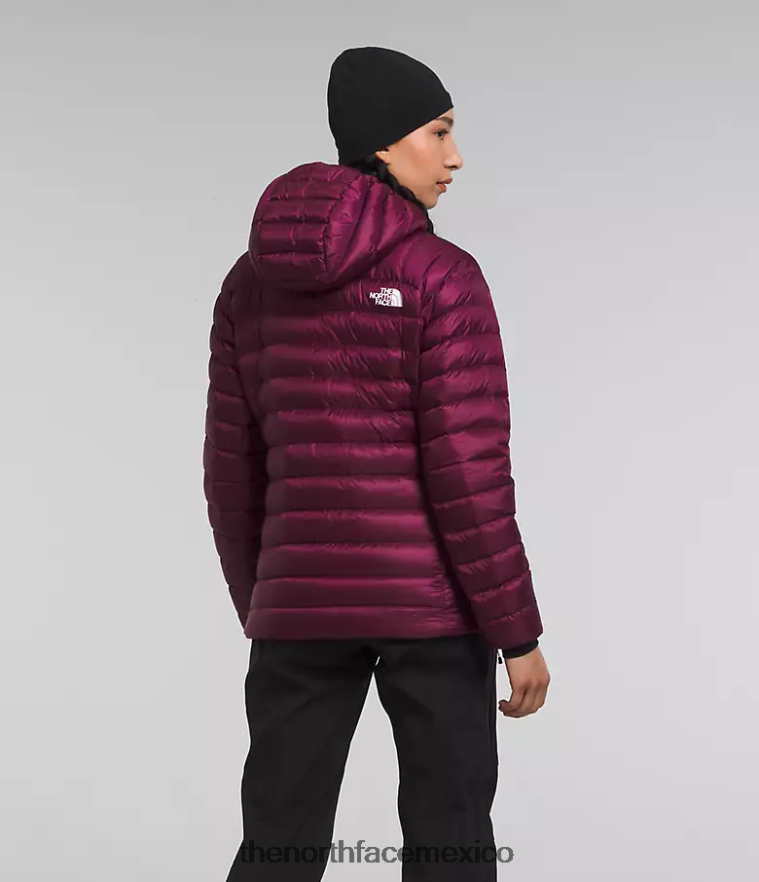 The North Face ropa NFHLJL668 arándano mujer sudadera con capucha breithorn serie cumbre