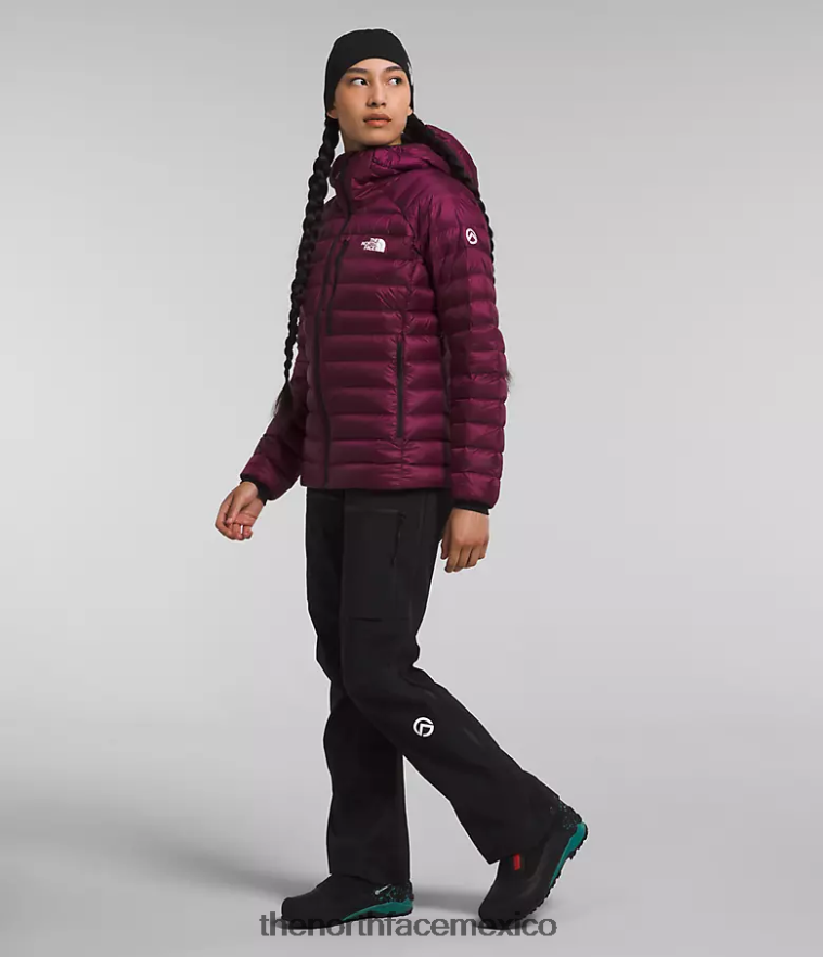 The North Face ropa NFHLJL668 arándano mujer sudadera con capucha breithorn serie cumbre