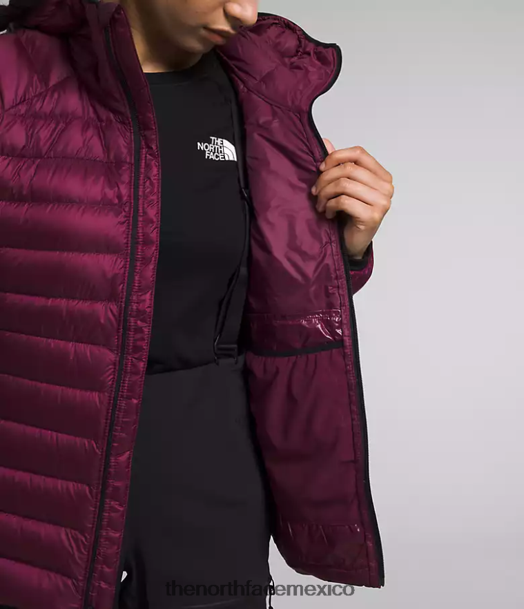 The North Face ropa NFHLJL668 arándano mujer sudadera con capucha breithorn serie cumbre