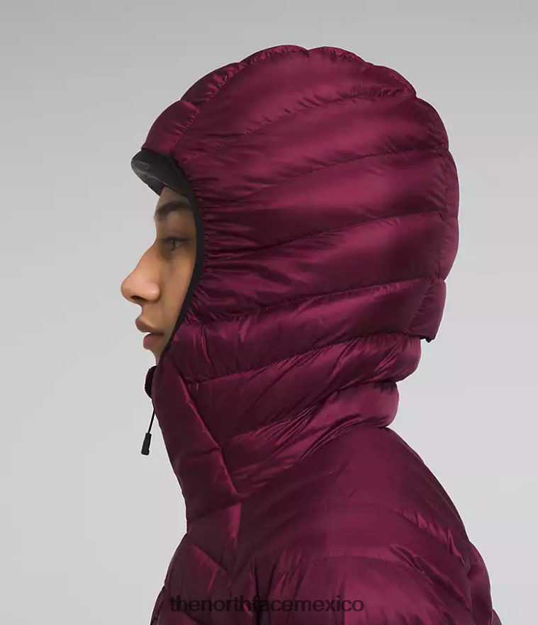 The North Face ropa NFHLJL668 arándano mujer sudadera con capucha breithorn serie cumbre