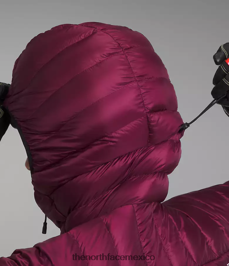 The North Face ropa NFHLJL668 arándano mujer sudadera con capucha breithorn serie cumbre