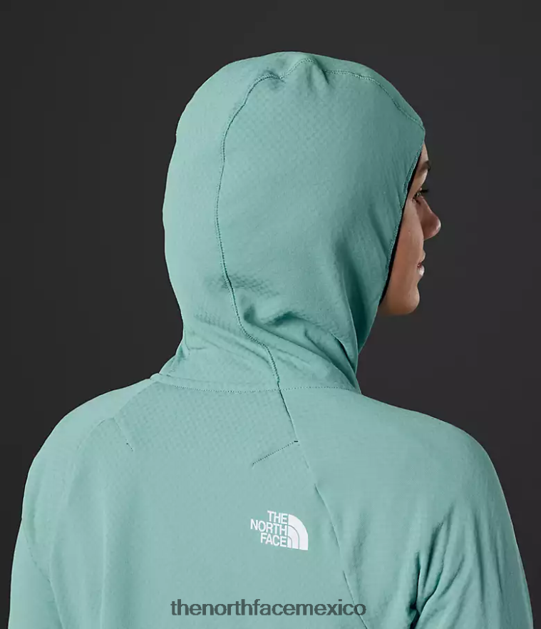 The North Face ropa NFHLJL740 aguas de arrecife mujer Summit Series Futurefleece sudadera con capucha y cremallera completa