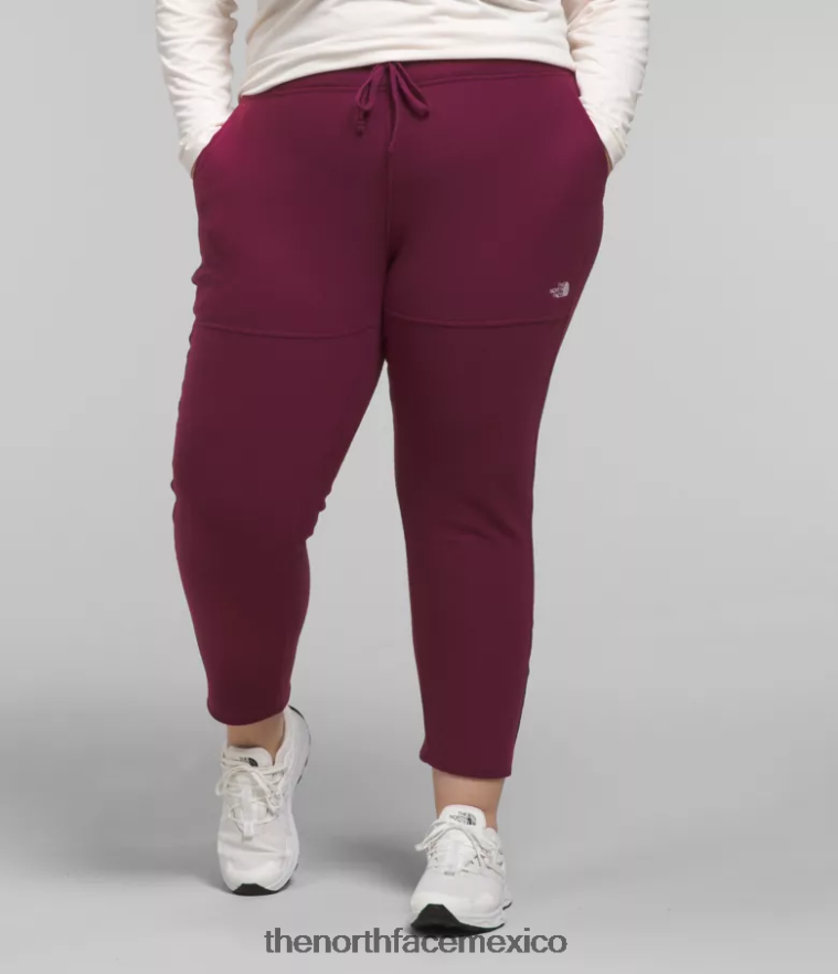 The North Face ropa NFHLJL251 arándano mujer más pantalones alpinos polartec 100