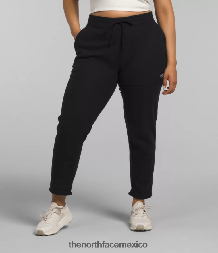 The North Face ropa NFHLJL252 negro mujer más pantalones alpinos polartec 100