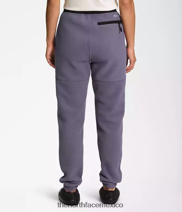 The North Face ropa NFHLJL943 pizarra lunar mujer pantalones denali